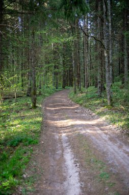 boş ülke stabilize yol çamur ile su birikintileri ve darbelere. kirli yol yüzeyi kum ve küçük taşlarla
