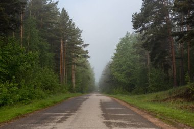 boş ülke stabilize yol çamur ile su birikintileri ve darbelere. kirli yol yüzeyi kum ve küçük taşlarla