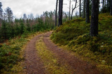 boş ülke stabilize yol çamur ile su birikintileri ve darbelere. kirli yol yüzeyi kum ve küçük taşlarla