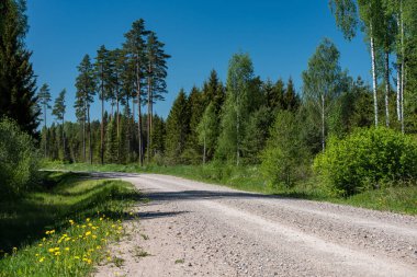 boş ülke stabilize yol çamur ile su birikintileri ve darbelere. kirli yol yüzeyi kum ve küçük taşlarla