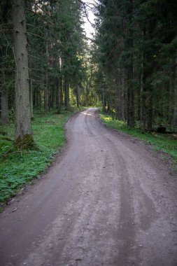 boş ülke stabilize yol çamur ile su birikintileri ve darbelere. kirli yol yüzeyi kum ve küçük taşlarla