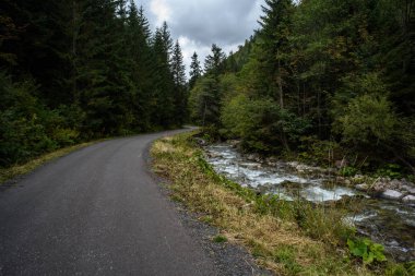 şehir dışında boş asfalt yol. temiz yüzey ve çizgiler ile kırsal driveway