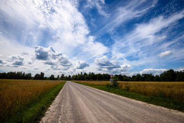 boş ülke stabilize yol çamur ile su birikintileri ve darbelere. kirli yol yüzeyi kum ve küçük taşlarla