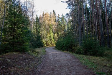 boş ülke stabilize yol çamur ile su birikintileri ve darbelere. kirli yol yüzeyi kum ve küçük taşlarla