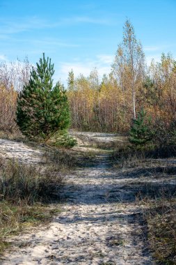 boş ülke stabilize yol çamur ile su birikintileri ve darbelere. kirli yol yüzeyi kum ve küçük taşlarla