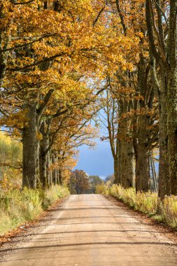 boş ülke stabilize yol çamur ile su birikintileri ve darbelere. kirli yol yüzeyi kum ve küçük taşlarla
