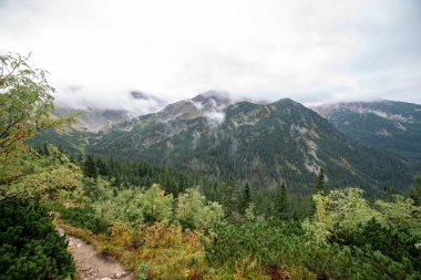 Slovakya'daki Tatra Dağları manzarasına. sis ve bulut dağ zirveleri renkli sonbaharda kaplı