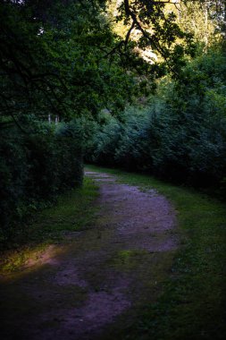 boş ülke stabilize yol çamur ile su birikintileri ve darbelere. kirli yol yüzeyi kum ve küçük taşlarla