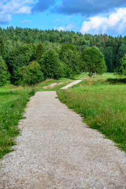 boş ülke stabilize yol çamur ile su birikintileri ve darbelere. kirli yol yüzeyi kum ve küçük taşlarla