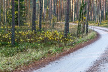 şehir dışında boş asfalt yol. temiz yüzey ve çizgiler ile kırsal driveway