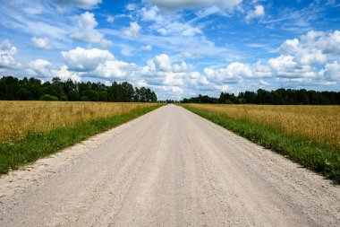 boş ülke stabilize yol çamur ile su birikintileri ve darbelere. kirli yol yüzeyi kum ve küçük taşlarla