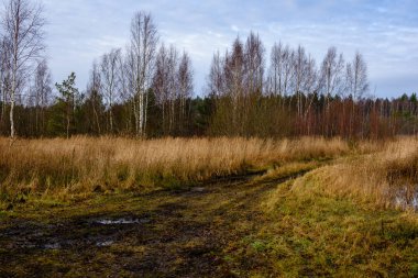 boş ülke stabilize yol çamur ile su birikintileri ve darbelere. kirli yol yüzeyi kum ve küçük taşlarla