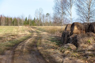 boş ülke stabilize yol çamur ile su birikintileri ve darbelere. kirli yol yüzeyi kum ve küçük taşlarla