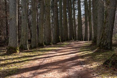 boş ülke stabilize yol çamur ile su birikintileri ve darbelere. kirli yol yüzeyi kum ve küçük taşlarla