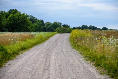 boş ülke stabilize yol çamur ile su birikintileri ve darbelere. kirli yol yüzeyi kum ve küçük taşlarla