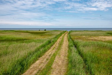 boş ülke stabilize yol çamur ile su birikintileri ve darbelere. kirli yol yüzeyi kum ve küçük taşlarla