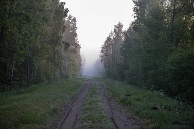 boş ülke stabilize yol çamur ile su birikintileri ve darbelere. kirli yol yüzeyi kum ve küçük taşlarla