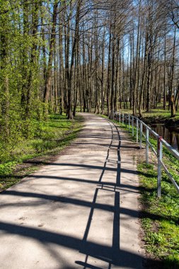 boş ülke stabilize yol çamur ile su birikintileri ve darbelere. kirli yol yüzeyi kum ve küçük taşlarla