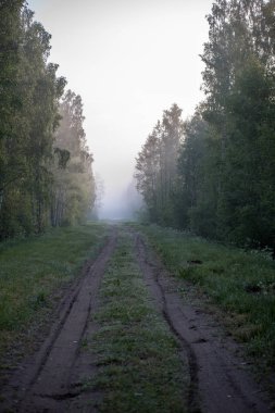 boş ülke stabilize yol çamur ile su birikintileri ve darbelere. kirli yol yüzeyi kum ve küçük taşlarla