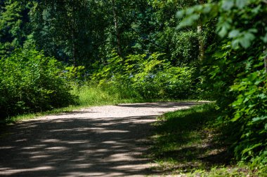 boş ülke stabilize yol çamur ile su birikintileri ve darbelere. kirli yol yüzeyi kum ve küçük taşlarla