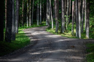 boş ülke stabilize yol çamur ile su birikintileri ve darbelere. kirli yol yüzeyi kum ve küçük taşlarla