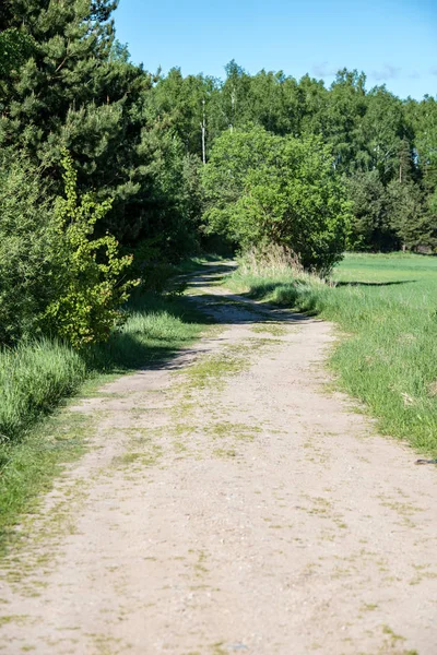 Boş Ülke Stabilize Yol Çamur Ile Birikintileri Darbelere Kirli Yol — Stok fotoğraf