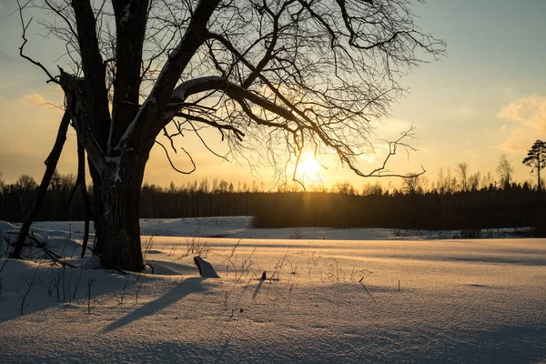 Pôr Sol Colorido Inverno Sobre Campos Rurais Cobertos Neve Céu — Fotografia de Stock