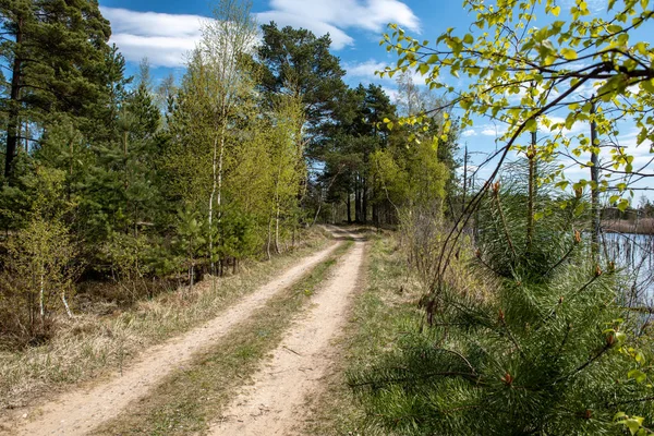 empty country gravel road with mud puddles and bumps. dirty road surface with sand and small stones