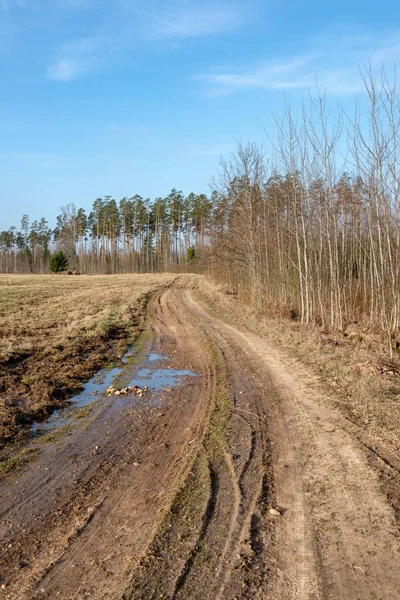 Boş Ülke Stabilize Yol Çamur Ile Birikintileri Darbelere Kirli Yol — Stok fotoğraf