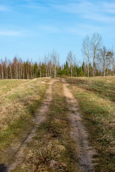 Boş Ülke Stabilize Yol Çamur Ile Birikintileri Darbelere Kirli Yol — Stok fotoğraf