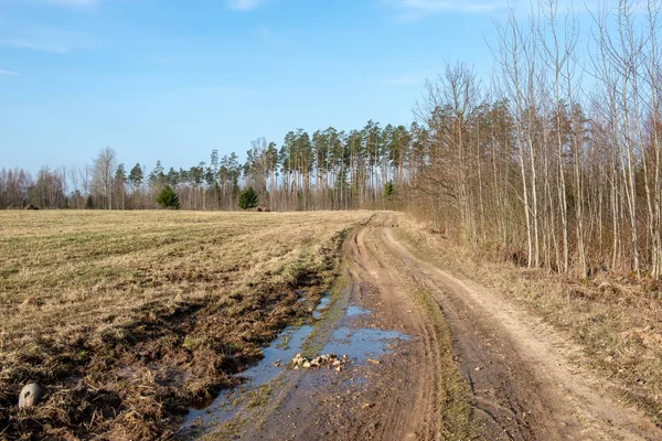 Boş Ülke Stabilize Yol Çamur Ile Birikintileri Darbelere Kirli Yol — Stok fotoğraf