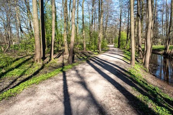 boş ülke stabilize yol çamur ile su birikintileri ve darbelere. kirli yol yüzeyi kum ve küçük taşlarla