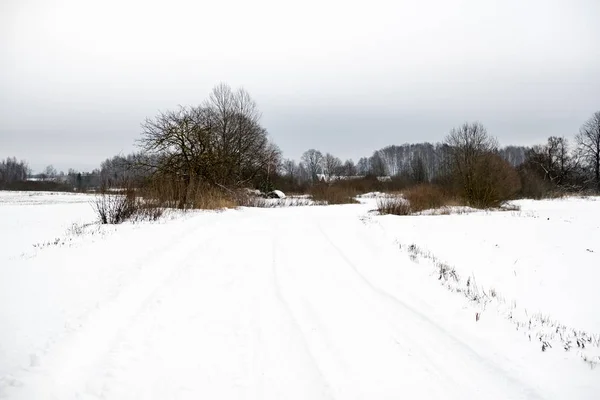 Hluboký Zasněžené Silnice Zimě Stopy Pneumatik — Stock fotografie