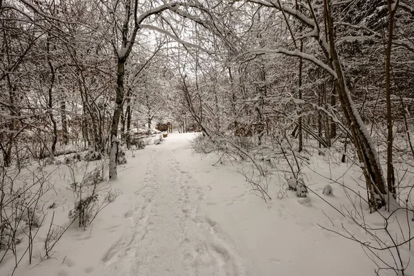 Глубокая Покрытая Снегом Дорога Зимой Следами Шин — стоковое фото