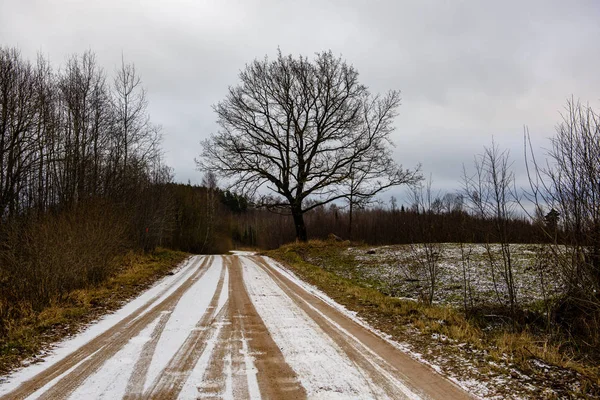 empty country gravel road with mud puddles and bumps. dirty road surface with sand and small stones