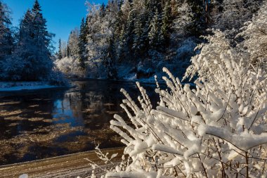 Orman nehir kumtaşı kayalıklarla, kar ve buz güneşli gün ile kışın donmuş