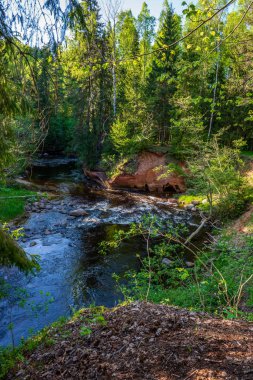 kumtaşı kayalıklarla yaz güneşli gün sert gölgeler ile nehirde orman ve orman ağaçlarında kıyısında
