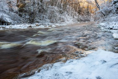 Orman nehir kumtaşı kayalıklarla, kar ve buz güneşli gün ile kışın donmuş