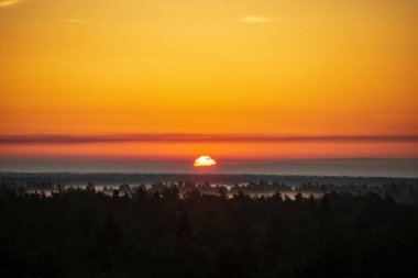 puslu yaz çayır sis ve ıslak otların arasında parlayan güneş ile renkli gündoğumu günbatımı