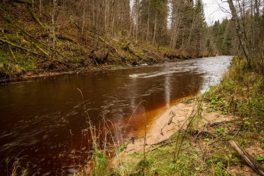 Orman nehirde koyu kahverengi su ve kumtaşı kayalıklarla ile sonbahar
