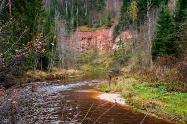 Orman nehirde koyu kahverengi su ve kumtaşı kayalıklarla ile sonbahar