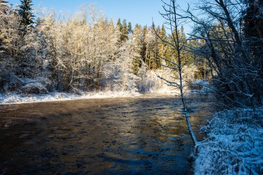 Orman nehir kumtaşı kayalıklarla, kar ve buz güneşli gün ile kışın donmuş