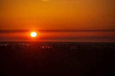 puslu yaz çayır sis ve ıslak otların arasında parlayan güneş ile renkli gündoğumu günbatımı