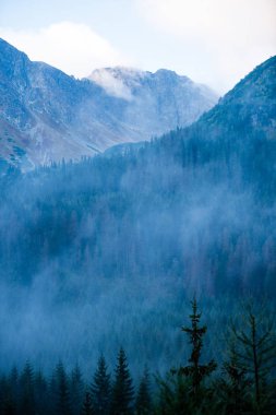 kırık bulutlar ve yaz günü güneş ile mavi gökyüzü arka plan üzerinde Slovakça Tatra mountain yüksek tepeler. turistik rotalar için yürüyüş
