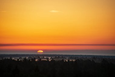 puslu yaz çayır sis ve ıslak otların arasında parlayan güneş ile renkli gündoğumu günbatımı