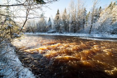 Orman nehir kumtaşı kayalıklarla, kar ve buz güneşli gün ile kışın donmuş