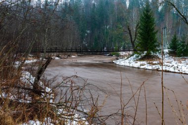 Orman nehir kumtaşı kayalıklarla, kar ve buz güneşli gün ile kışın donmuş