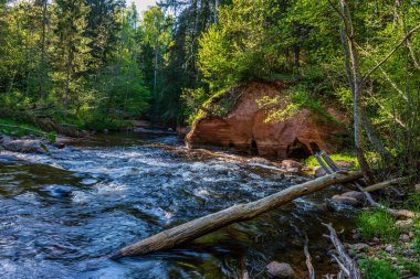 kumtaşı kayalıklarla yaz güneşli gün sert gölgeler ile nehirde orman ve orman ağaçlarında kıyısında