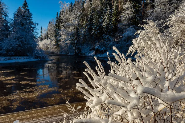 Fiume Foresta Ghiacciata Inverno Con Scogliere Arenaria Neve Ghiaccio Nella — Foto Stock