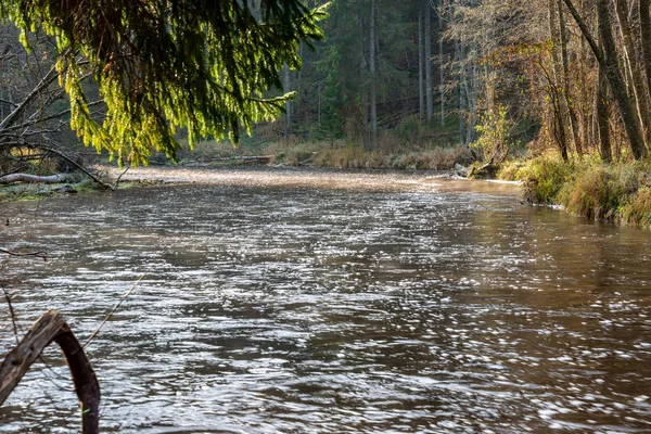 Orman Nehirde Koyu Kahverengi Kumtaşı Kayalıklarla Ile Sonbahar — Stok fotoğraf